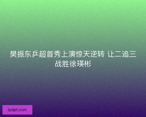 樊振东乒超首秀上演惊天逆转 让二追三战胜徐瑛彬