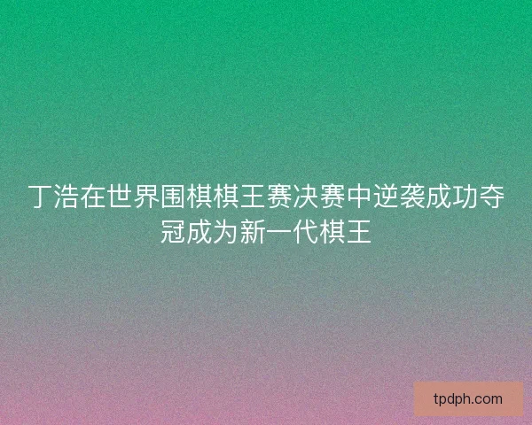 丁浩在世界围棋棋王赛决赛中逆袭成功夺冠成为新一代棋王 丁浩在世界围棋棋王赛决赛中逆袭成功夺冠成为新一代棋王